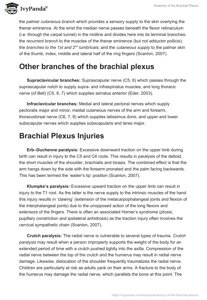 Anatomy of the Brachial Plexus. Page 3