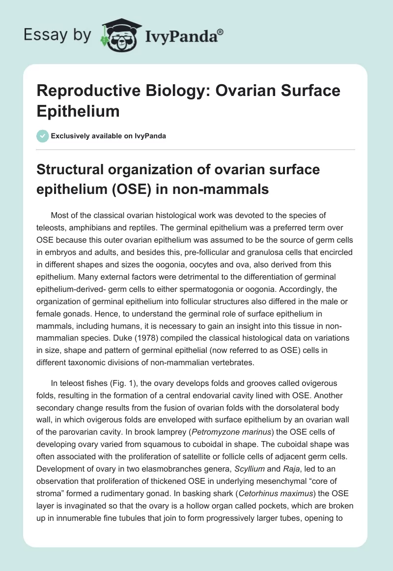 Reproductive Biology: Ovarian Surface Epithelium. Page 1