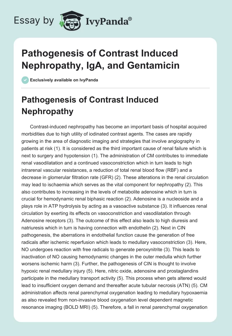 Pathogenesis of Contrast Induced Nephropathy, IgA, and Gentamicin. Page 1