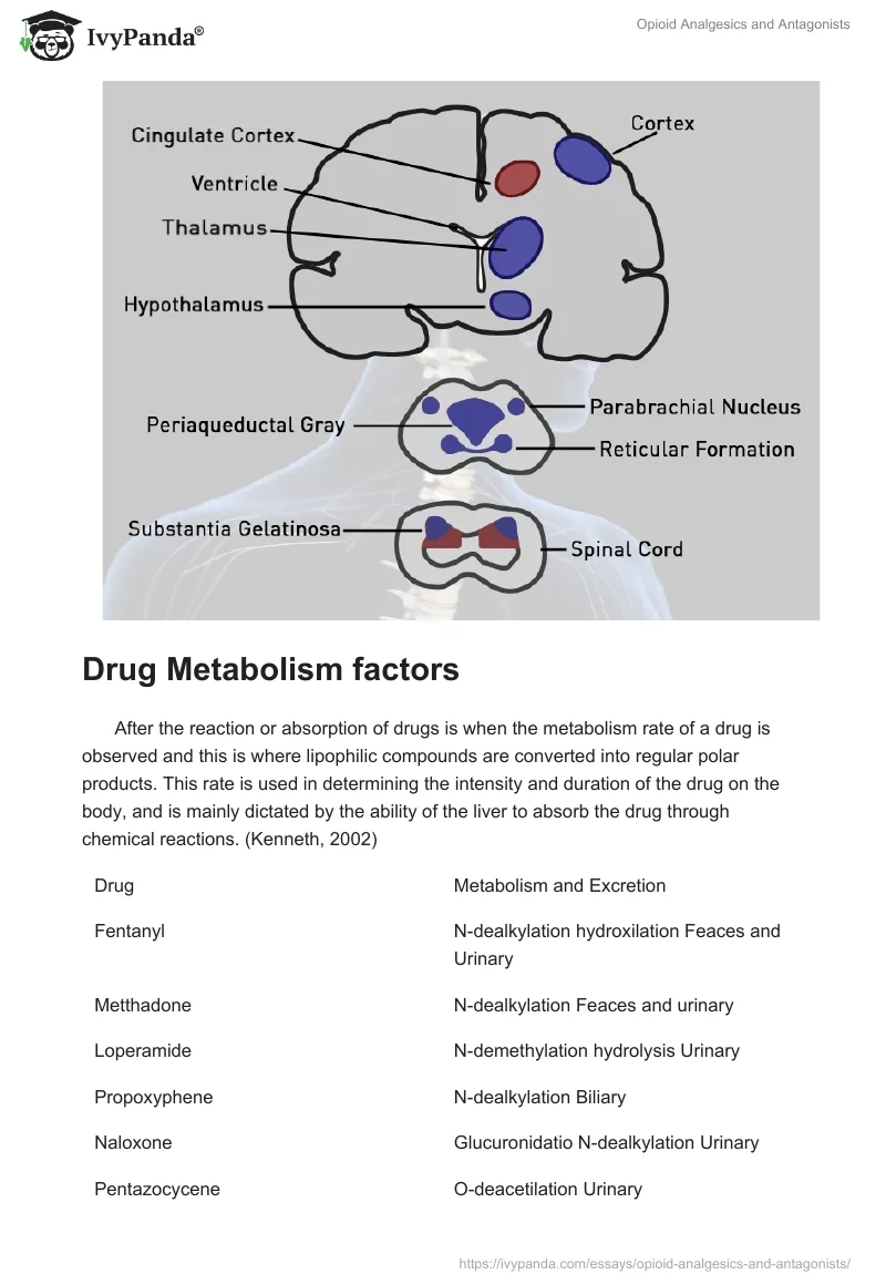 Opioid Analgesics and Antagonists. Page 3