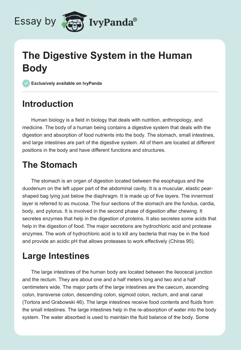 The Digestive System in the Human Body. Page 1
