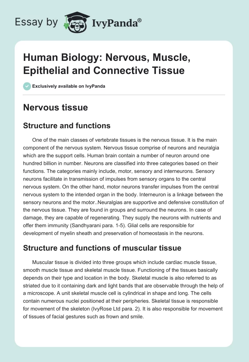 Human Biology: Nervous, Muscle, Epithelial and Connective Tissue. Page 1