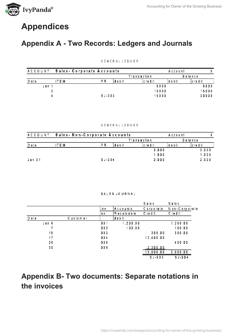 Accounting for Owner of the Growing Business. Page 3