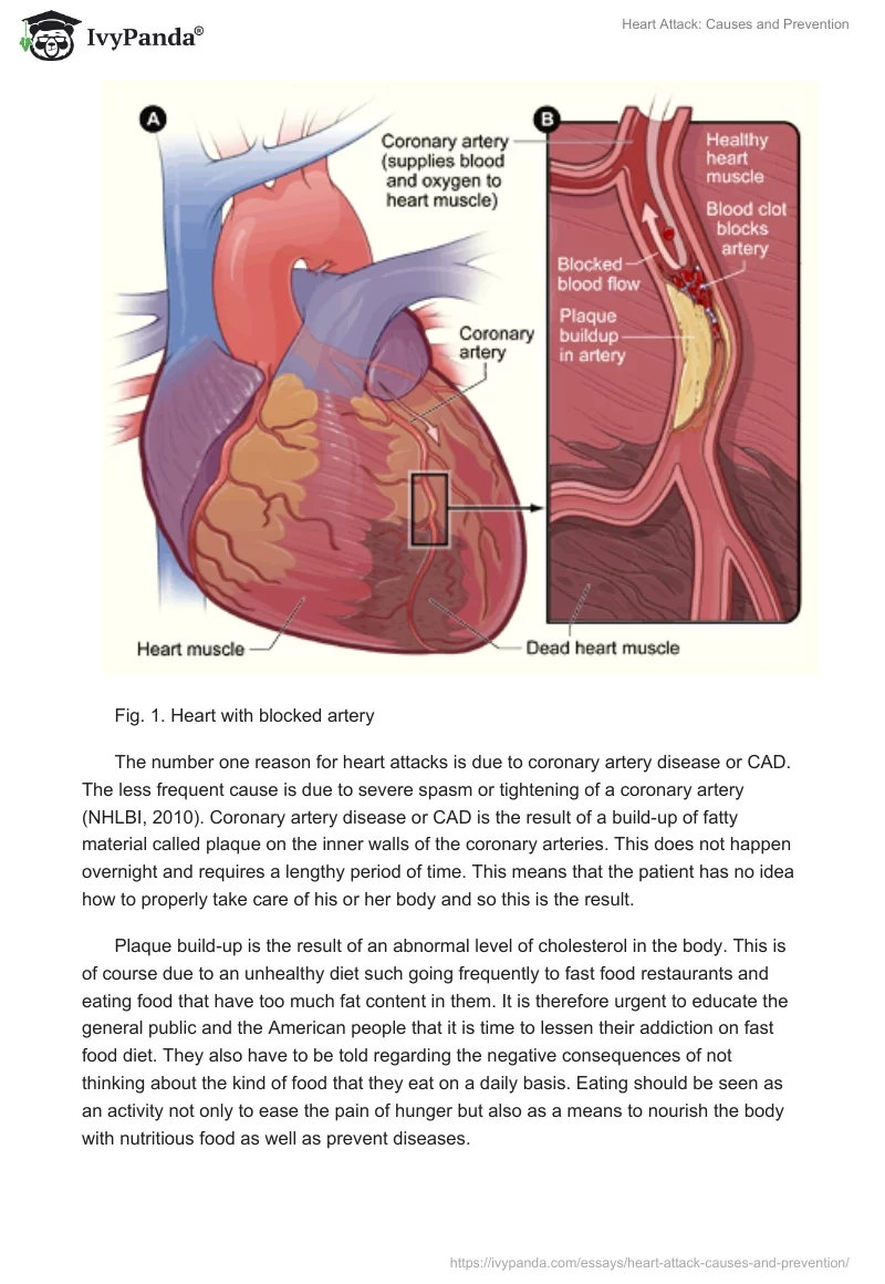 Heart Attack: Causes and Prevention. Page 2