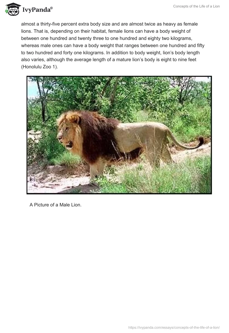 Concepts of the Life of a Lion. Page 2