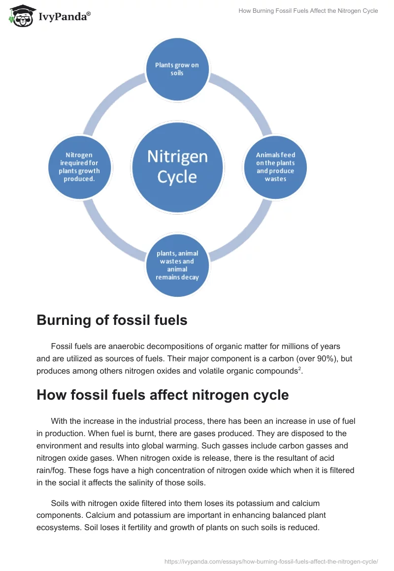 How Burning Fossil Fuels Affect the Nitrogen Cycle. Page 3