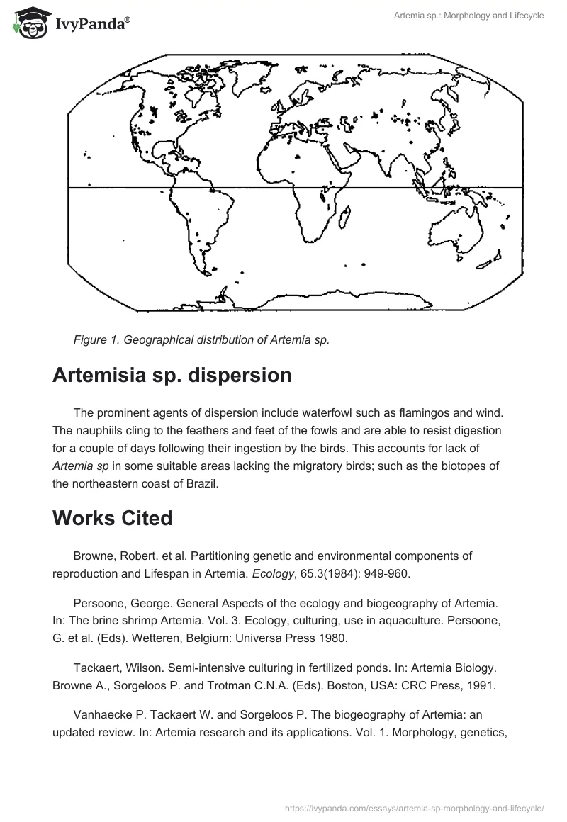 Artemia sp.: Morphology and Lifecycle. Page 3