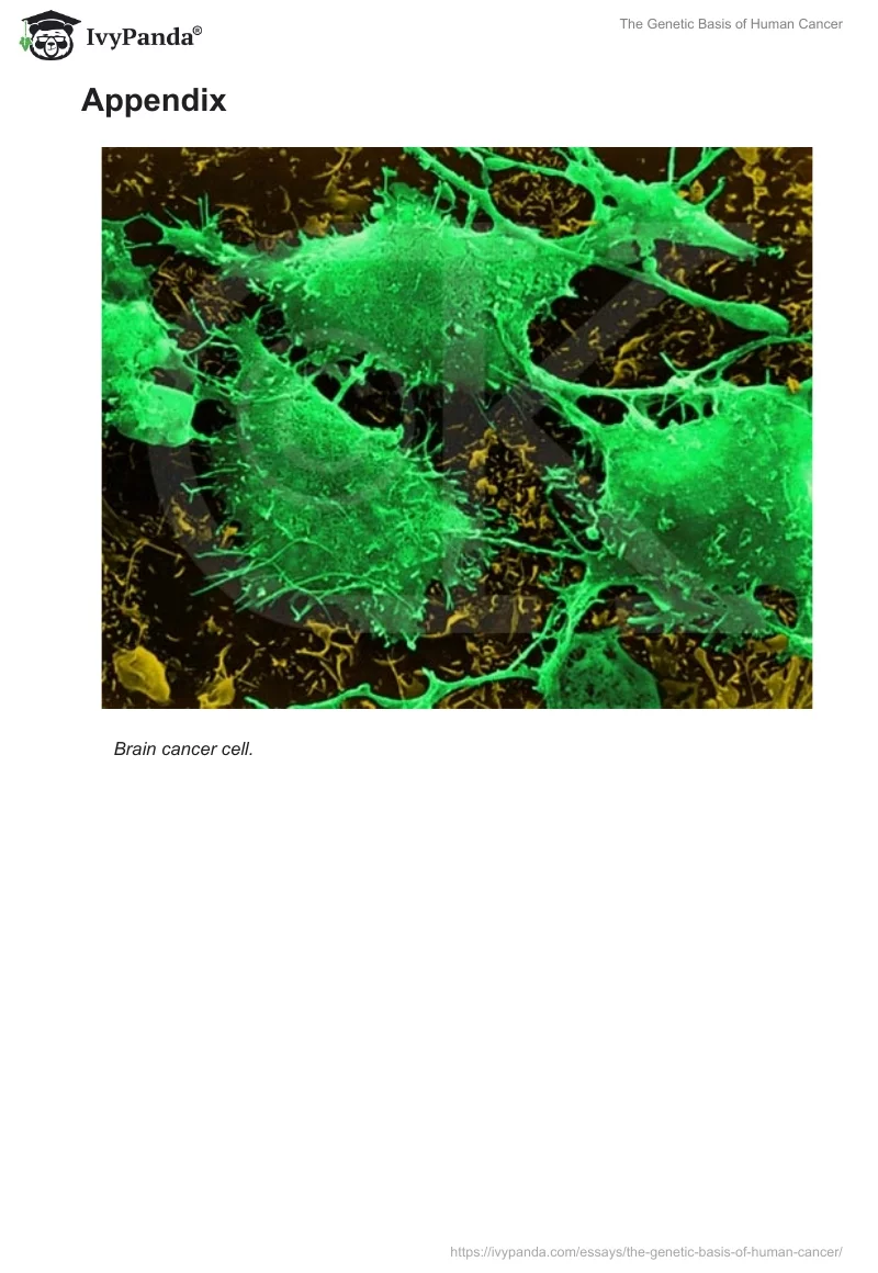 The Genetic Basis of Human Cancer. Page 5