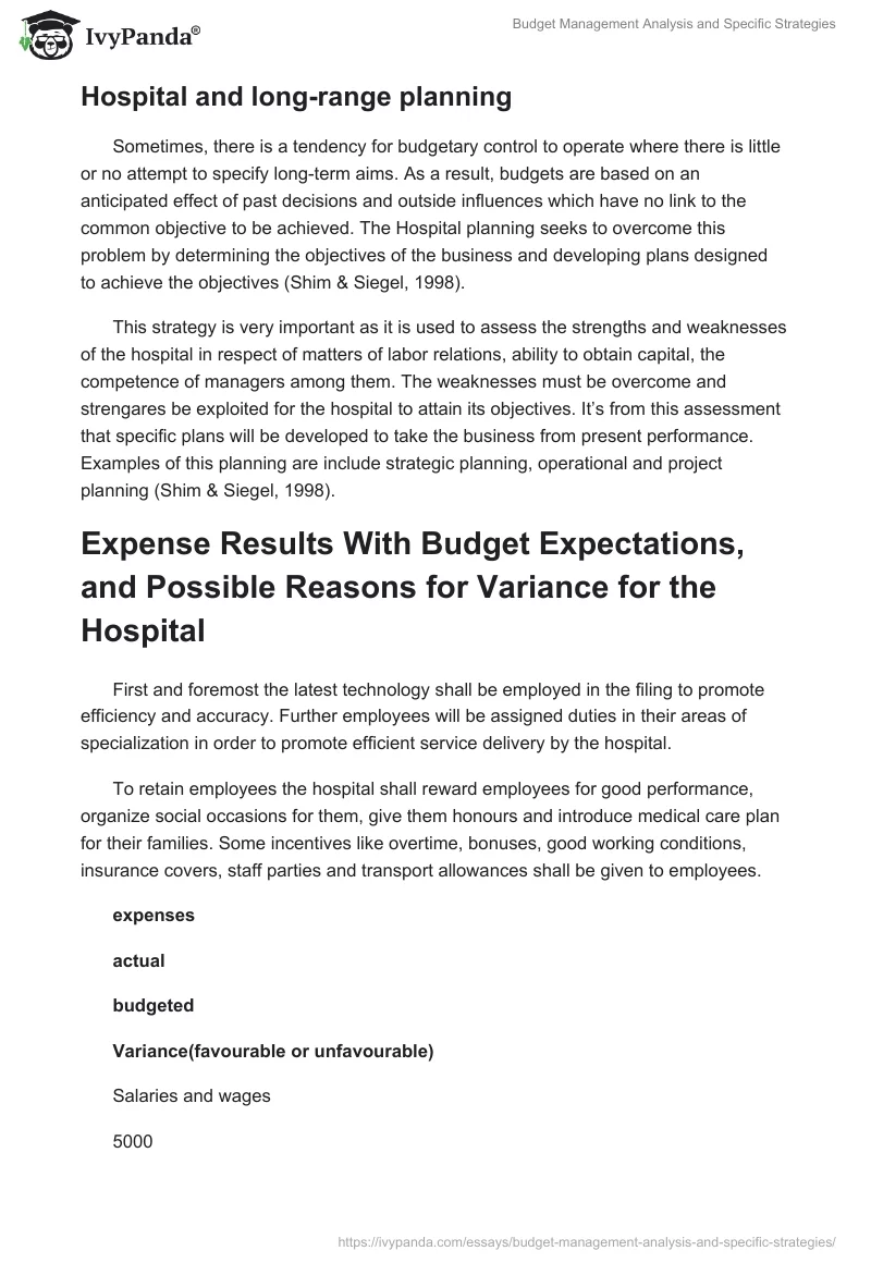 Budget Management Analysis and Specific Strategies. Page 3