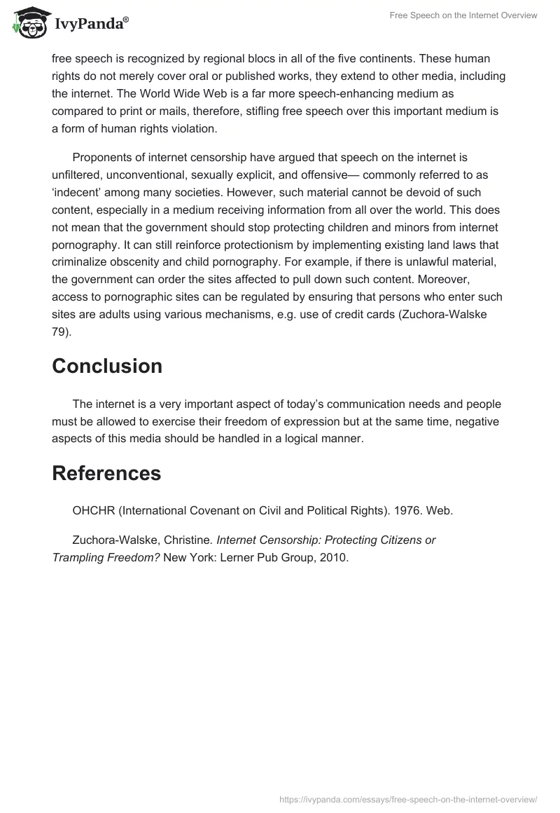 Free Speech on the Internet Overview. Page 2