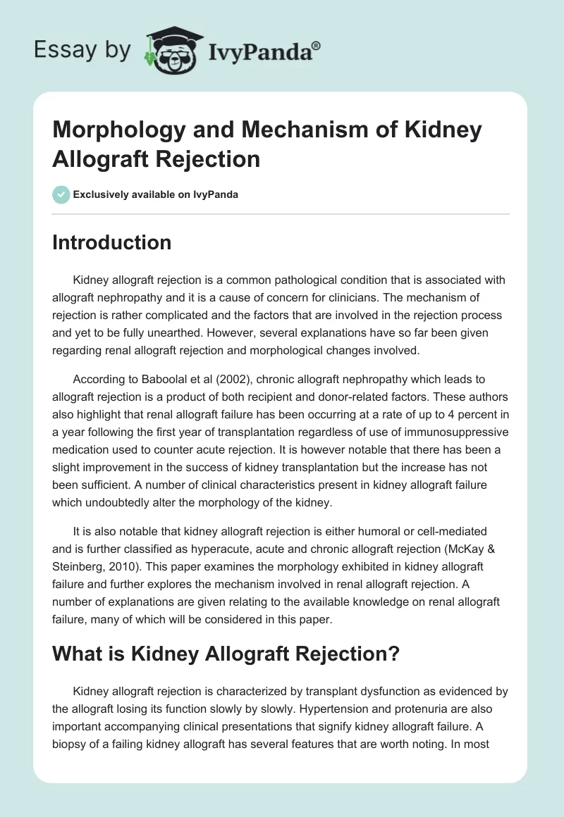 Morphology and Mechanism of Kidney Allograft Rejection. Page 1