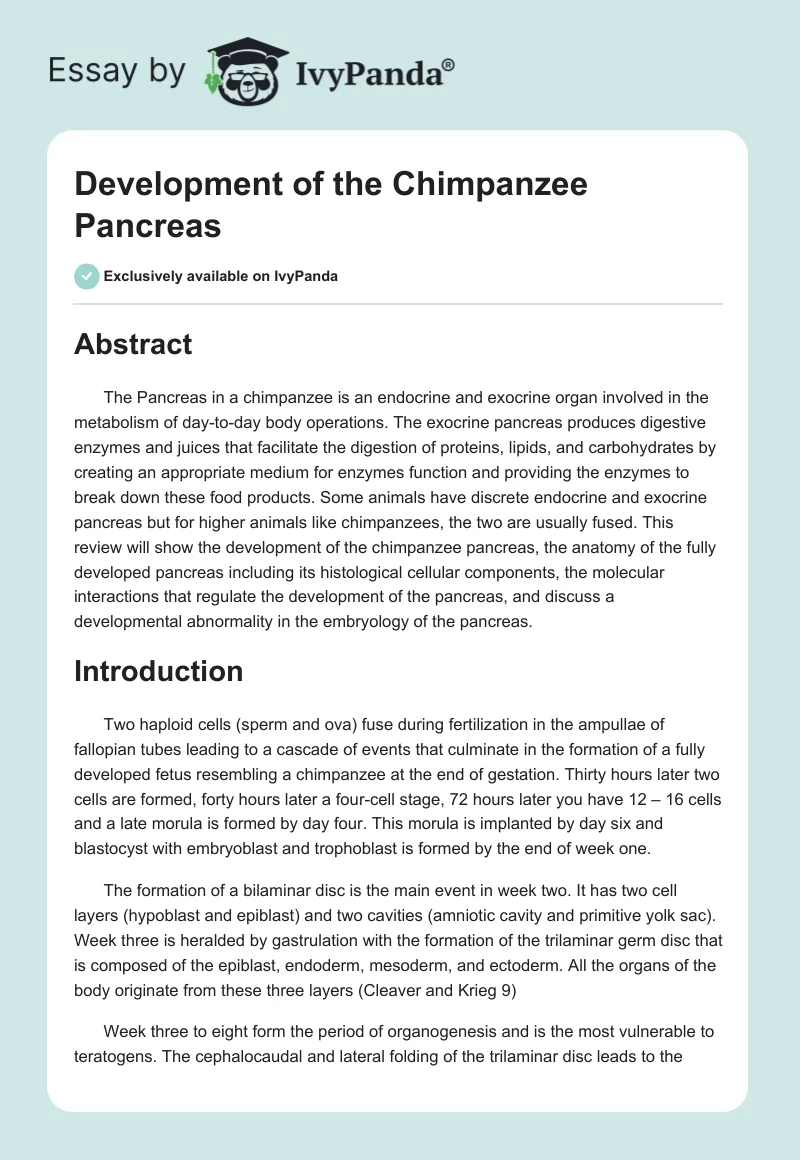 Development of the Chimpanzee Pancreas. Page 1