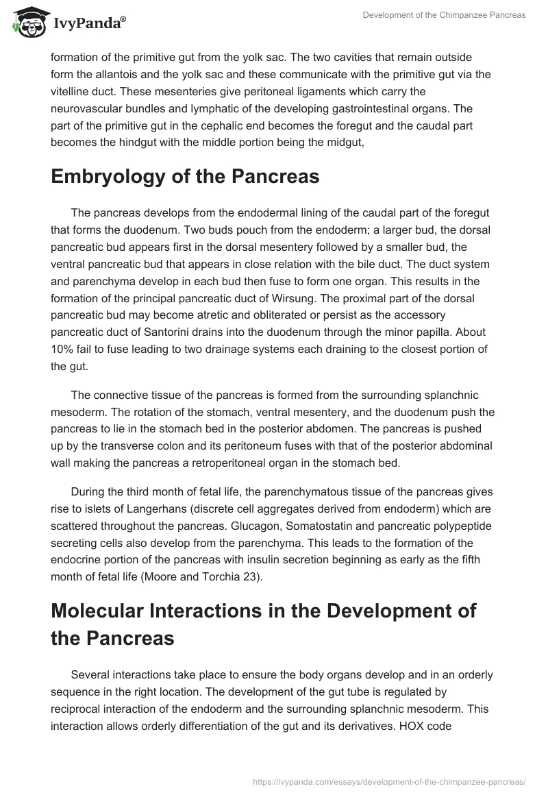 Development of the Chimpanzee Pancreas. Page 2
