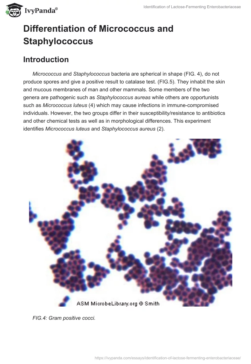 Identification of Lactose-Fermenting Enterobacteriaceae. Page 5