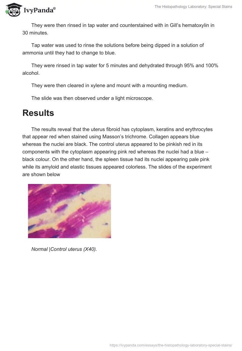 The Histopathology Laboratory: Special Stains. Page 4