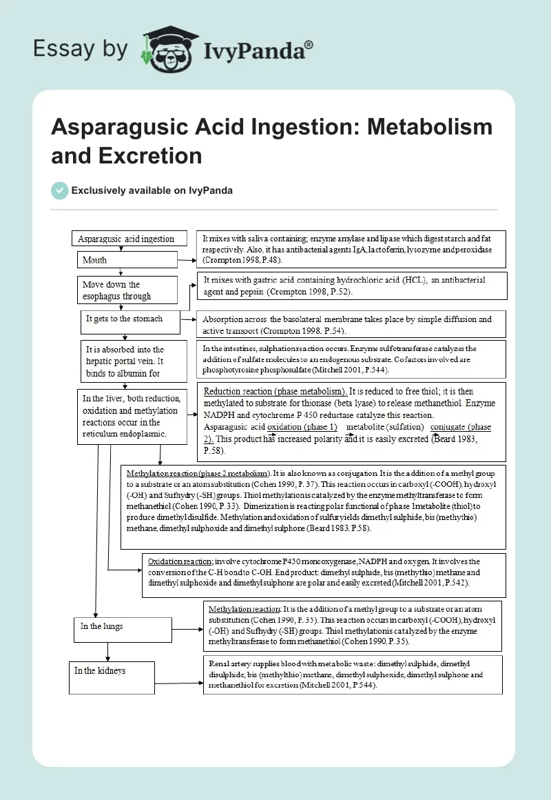 Asparagusic Acid Ingestion: Metabolism and Excretion. Page 1