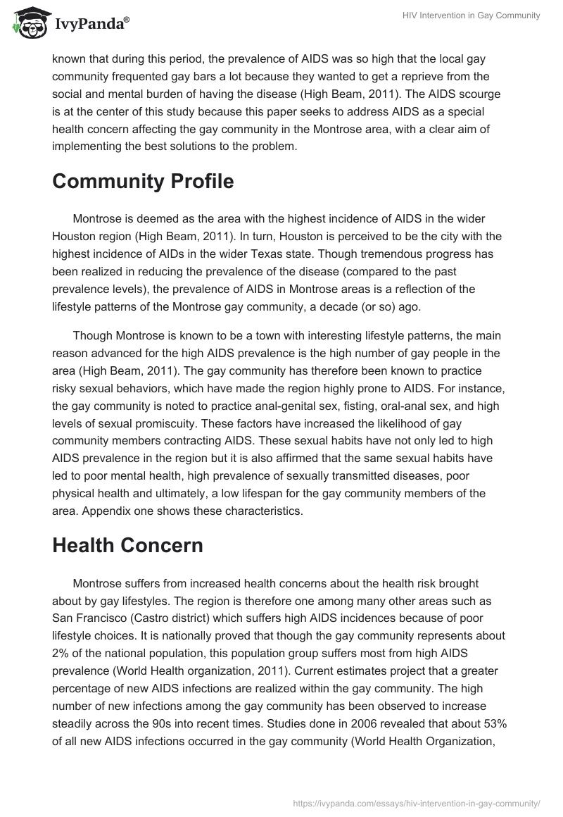 HIV Intervention in Gay Community. Page 2