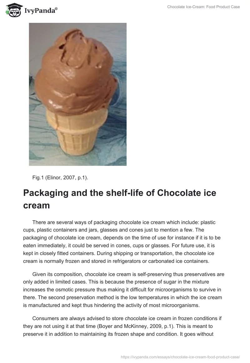 Chocolate Ice-Cream: Food Product Case. Page 2