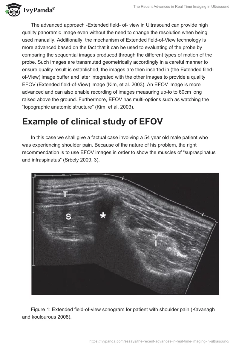 The Recent Advances in Real Time Imaging in Ultrasound. Page 2