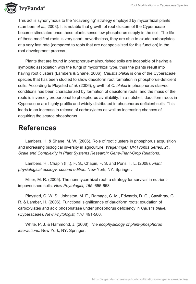 Root Modifications in Cyperaceae Species. Page 2