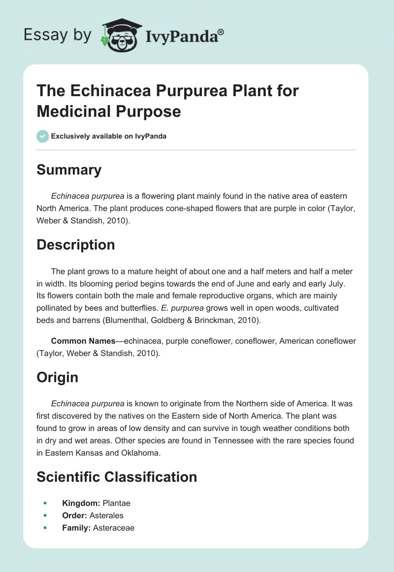 The Echinacea Purpurea Plant for Medicinal Purpose. Page 1