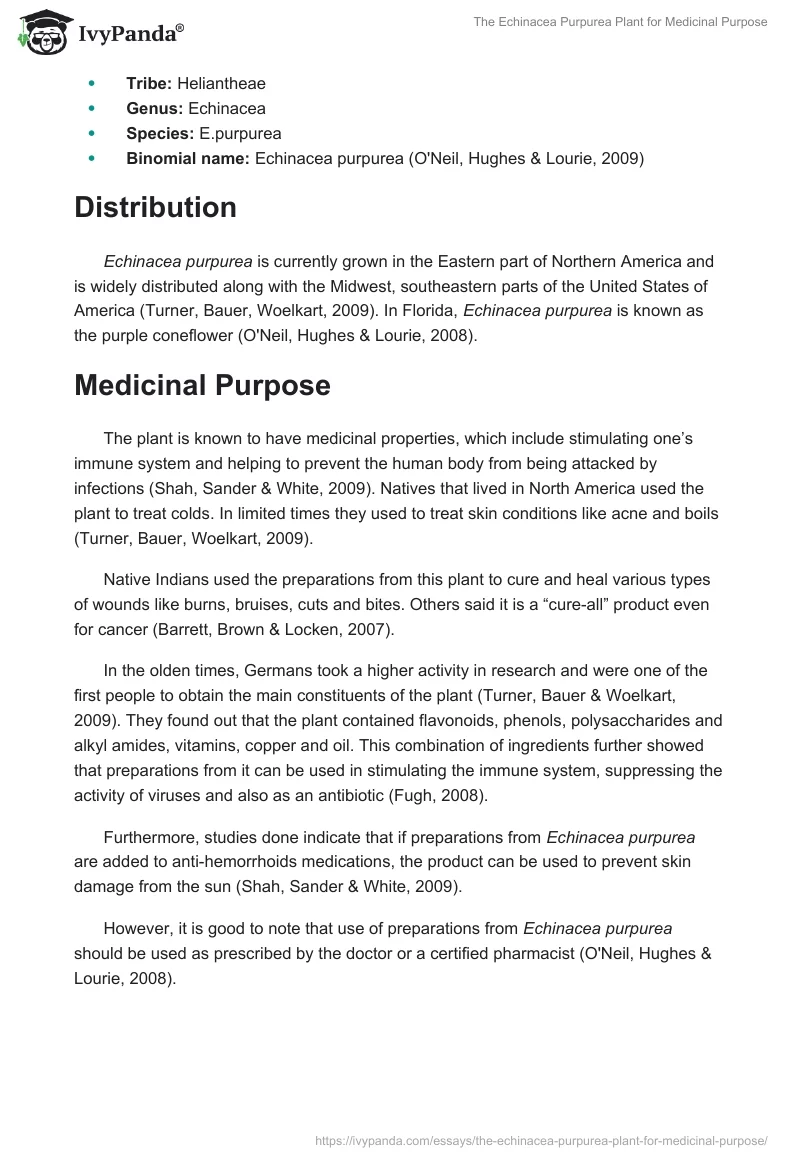 The Echinacea Purpurea Plant for Medicinal Purpose. Page 2