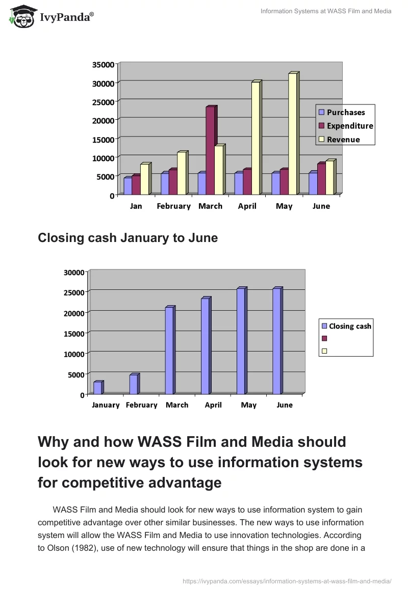Information Systems at WASS Film and Media. Page 2