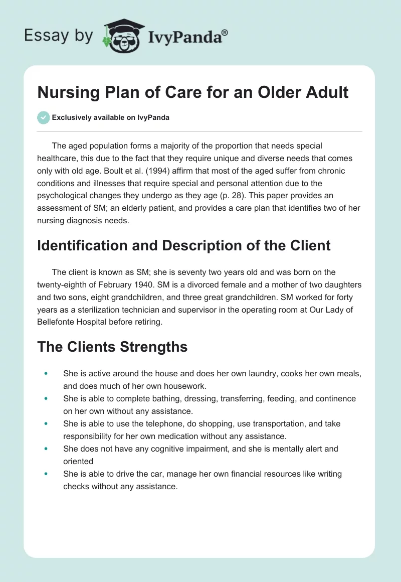 Nursing Plan of Care for an Older Adult. Page 1