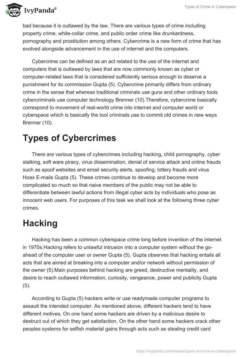 Types of Crime in Cyberspace. Page 2