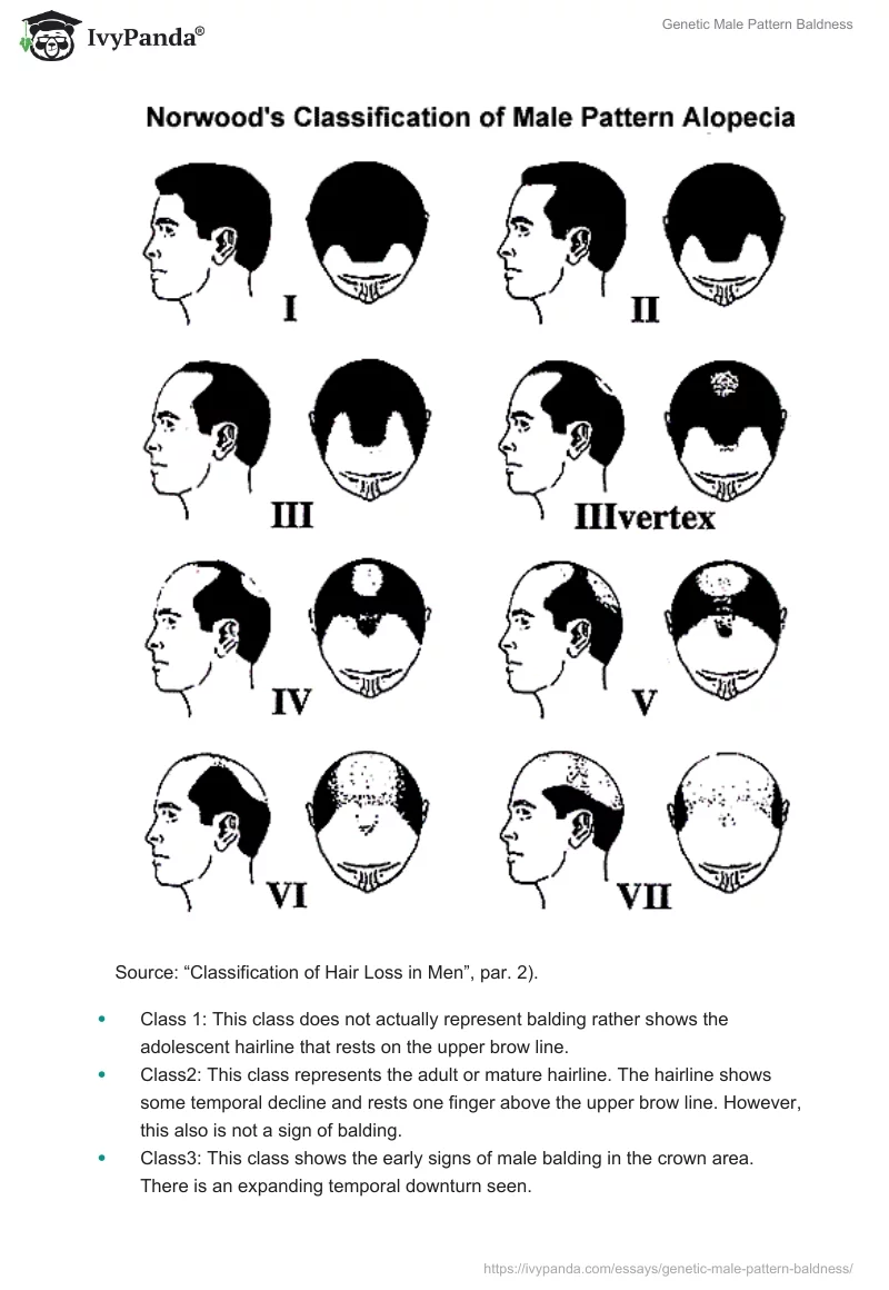 Genetic Male Pattern Baldness. Page 2