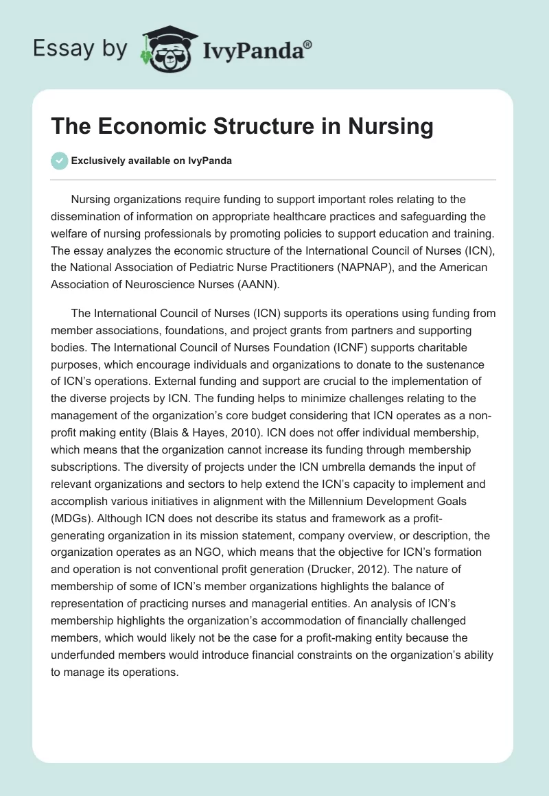 The Economic Structure in Nursing. Page 1