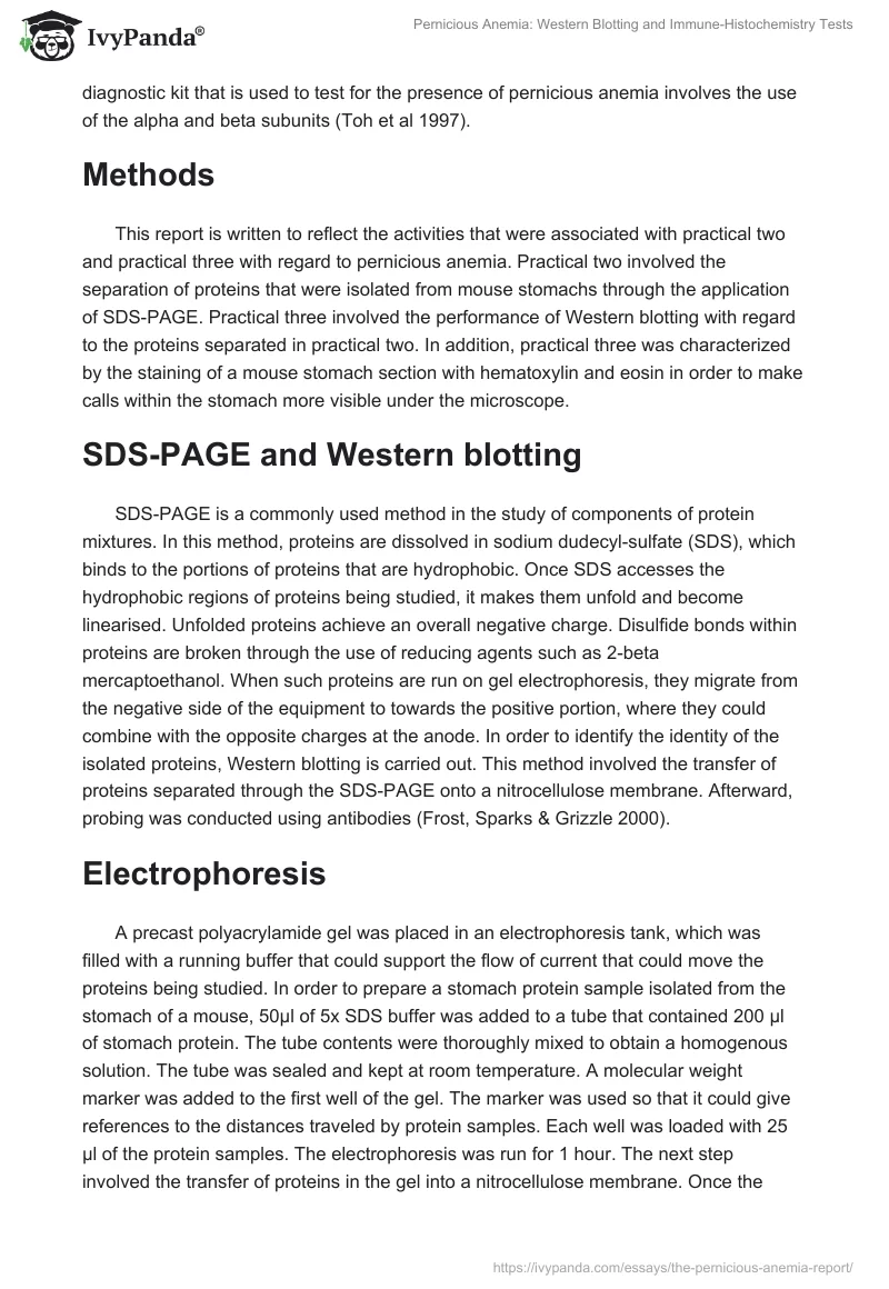 Pernicious Anemia: Western Blotting and Immune-Histochemistry Tests. Page 2