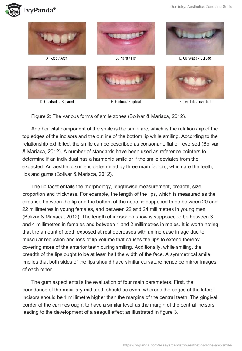Dentistry: Aesthetics Zone and Smile. Page 3