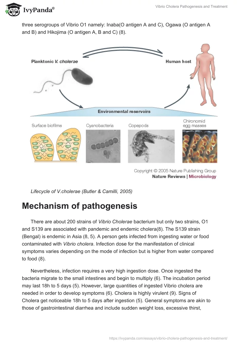 Vibrio Cholera Pathogenesis and Treatment. Page 3