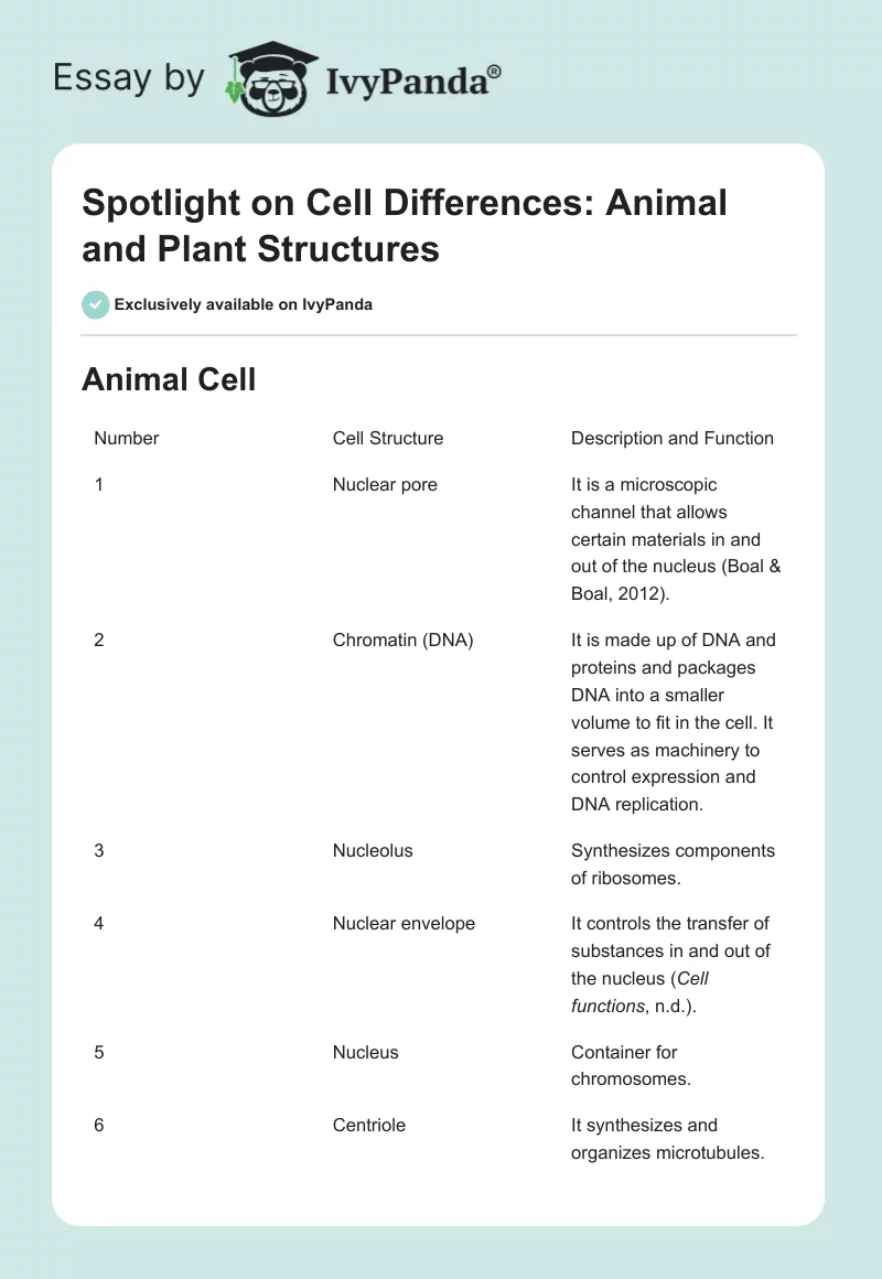 Spotlight on Cell Differences: Animal and Plant Structures. Page 1