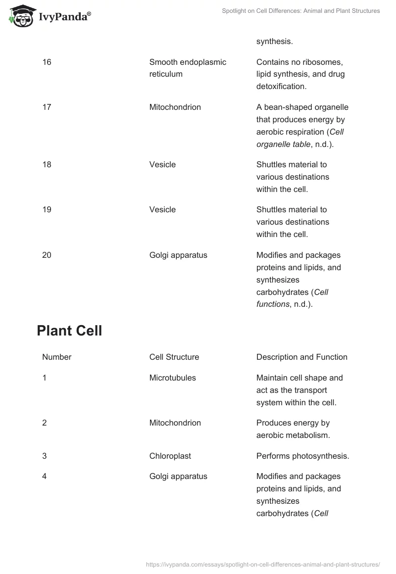 Spotlight on Cell Differences: Animal and Plant Structures. Page 3