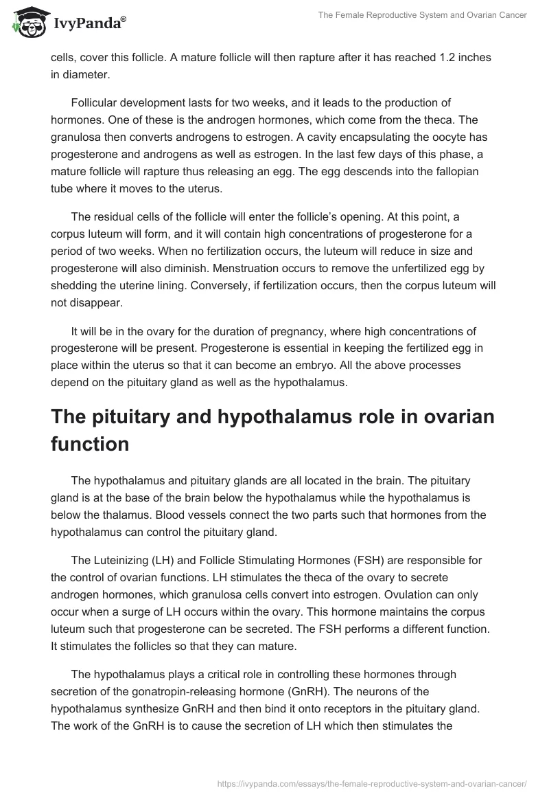 The Female Reproductive System and Ovarian Cancer. Page 2