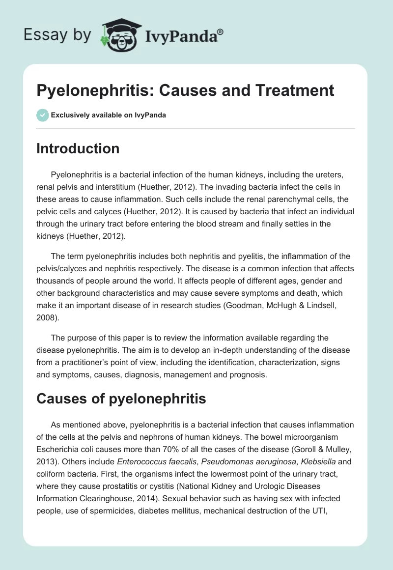 Pyelonephritis: Causes and Treatment. Page 1