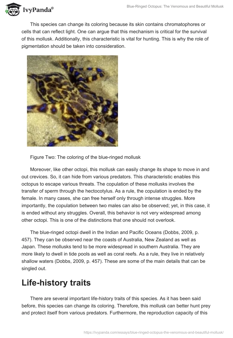 Blue-Ringed Octopus: The Venomous and Beautiful Mollusk. Page 2