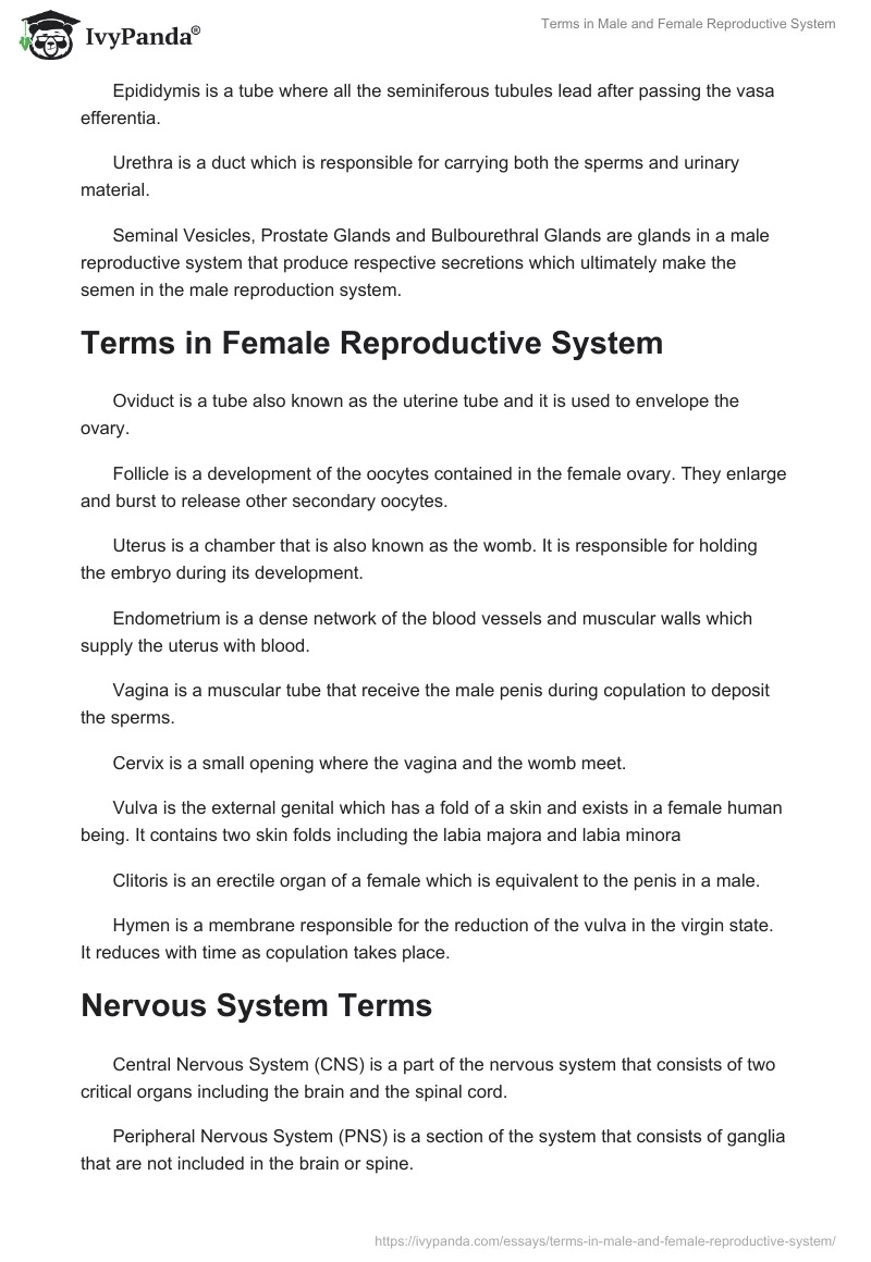 Terms in Male and Female Reproductive System. Page 2