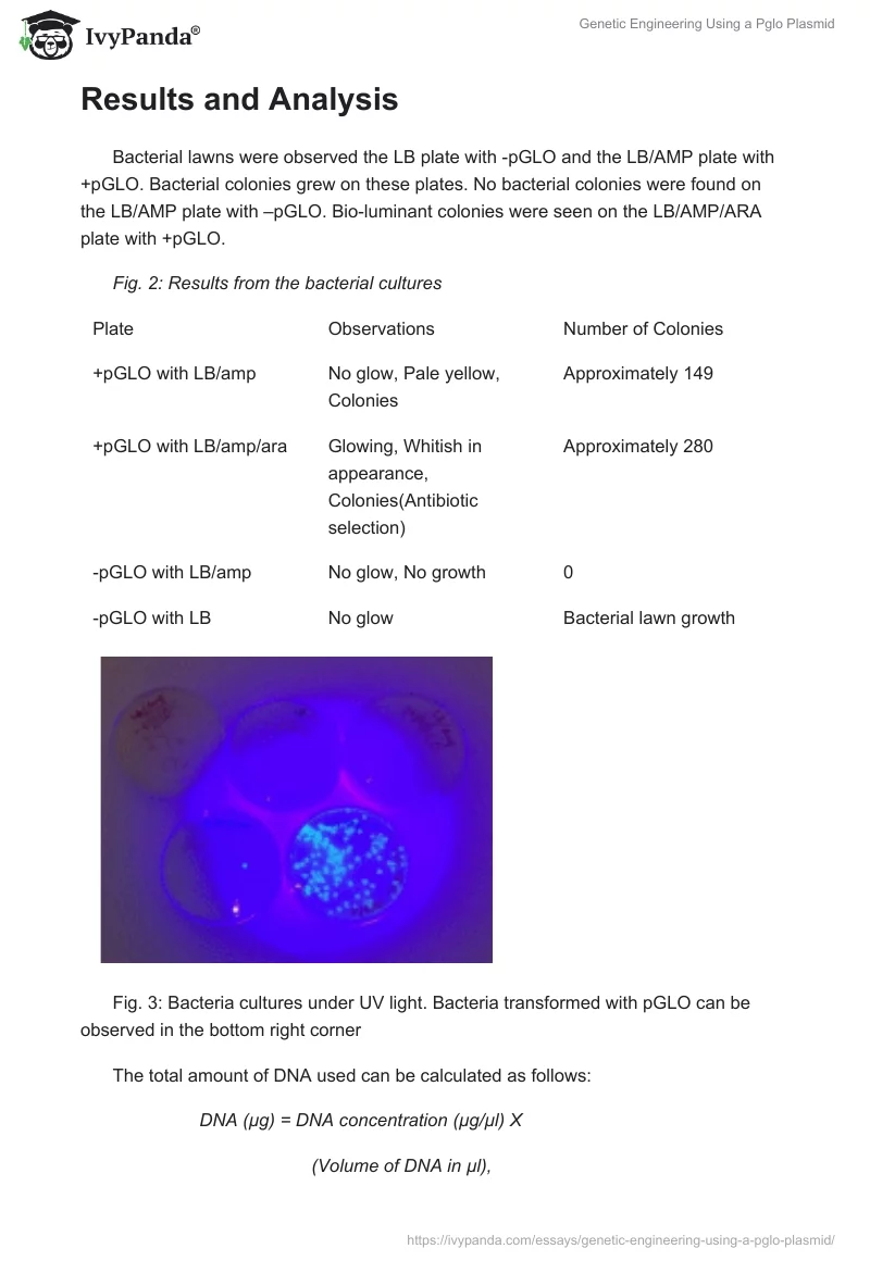 Genetic Engineering Using a Pglo Plasmid. Page 5