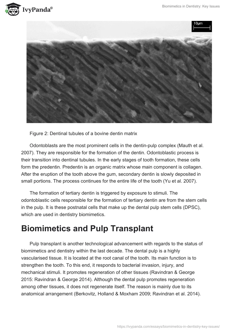 Biomimetics in Dentistry: Key Issues. Page 4