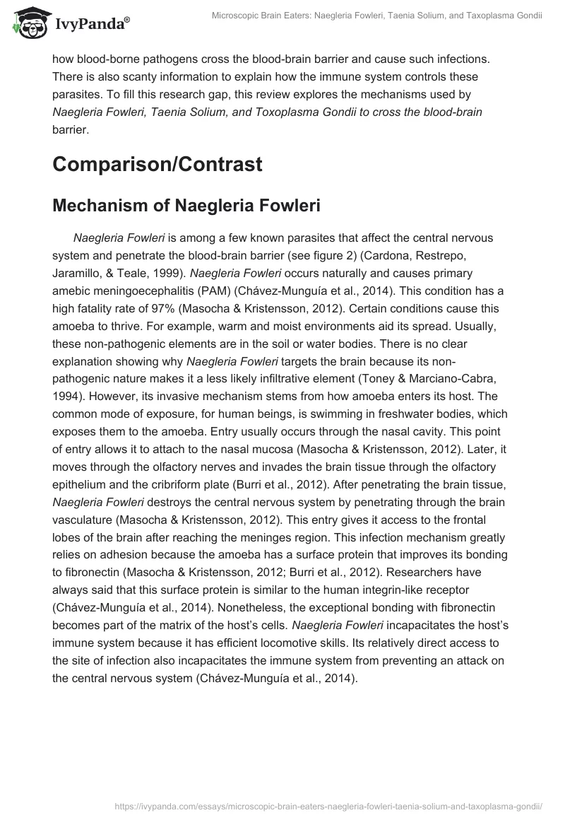 Microscopic Brain Eaters: Naegleria Fowleri, Taenia Solium, and Taxoplasma Gondii. Page 3