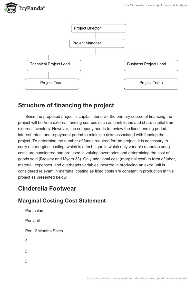 The Cinderella Shoe Project Financial Analysis. Page 3