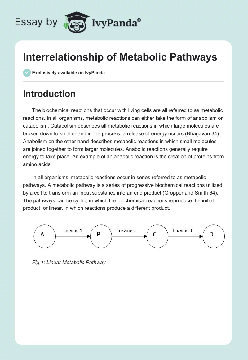 Interrelationship of Metabolic Pathways. Page 1