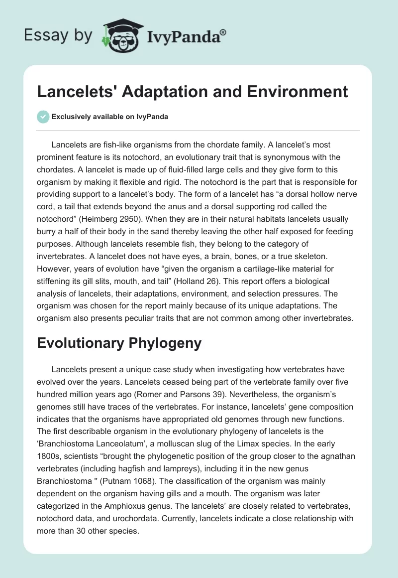 Lancelets' Adaptation and Environment. Page 1