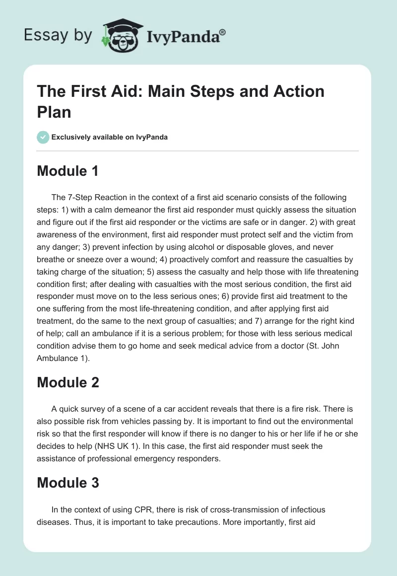 The First Aid: Main Steps and Action Plan. Page 1