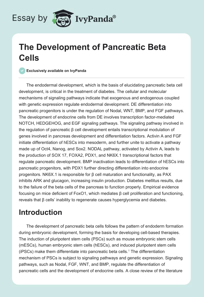 The Development of Pancreatic Beta Cells. Page 1
