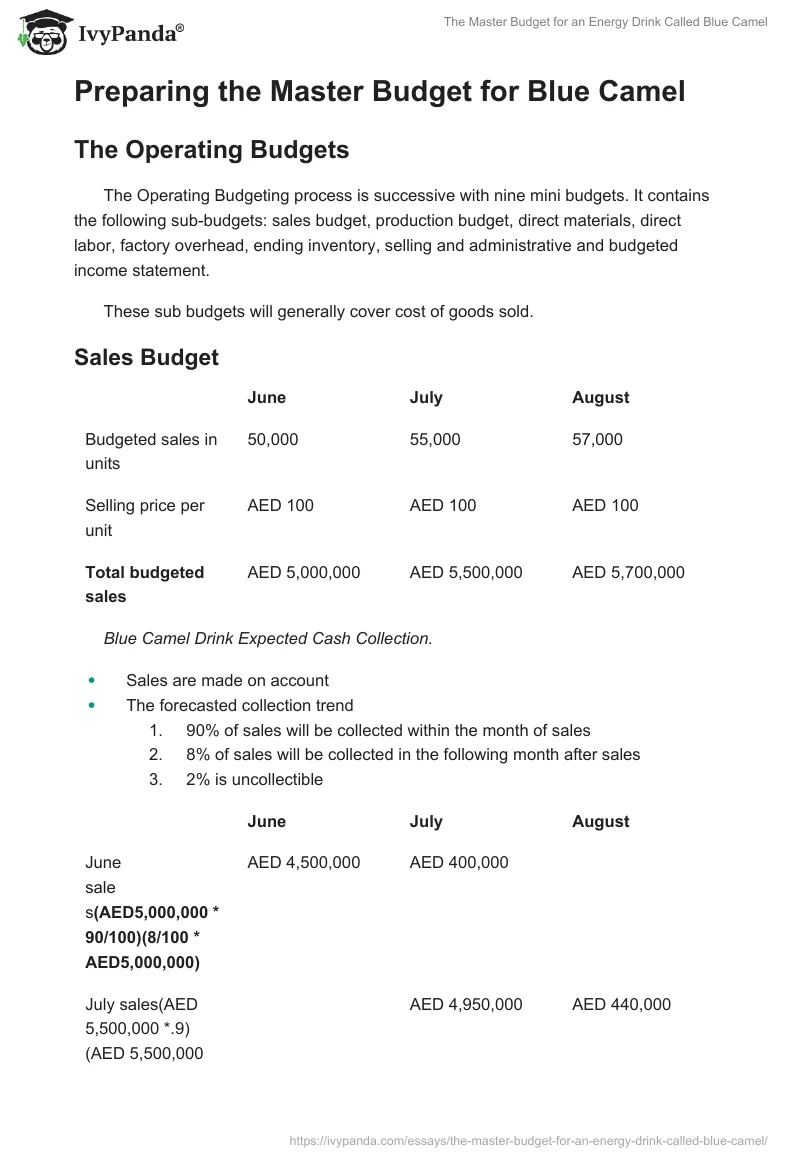 The Master Budget for an Energy Drink Called Blue Camel. Page 2
