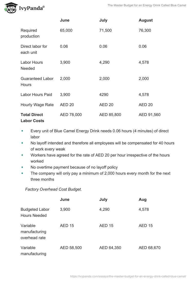 The Master Budget for an Energy Drink Called Blue Camel. Page 5